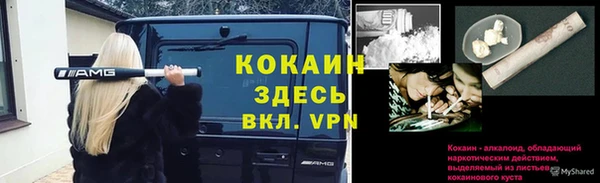 прущие грибы Арсеньев