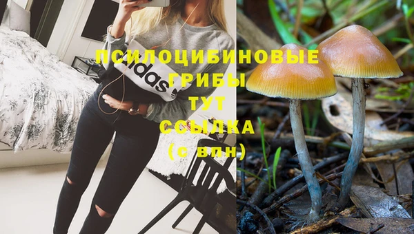бутик Аркадак