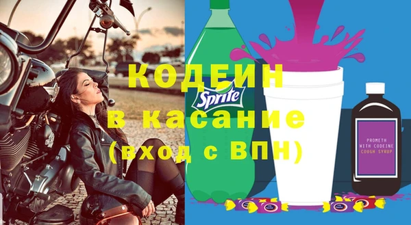 прущие грибы Арсеньев