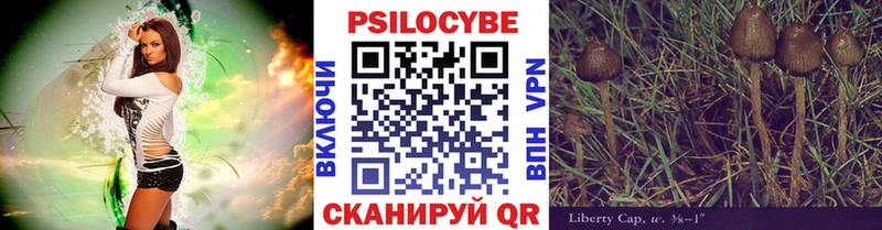 Псилоцибиновые грибы MAGIC MUSHROOMS  даркнет сайт  Козьмодемьянск 