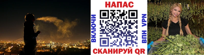 Конопля Amnesia  что такое наркотик  Козьмодемьянск 